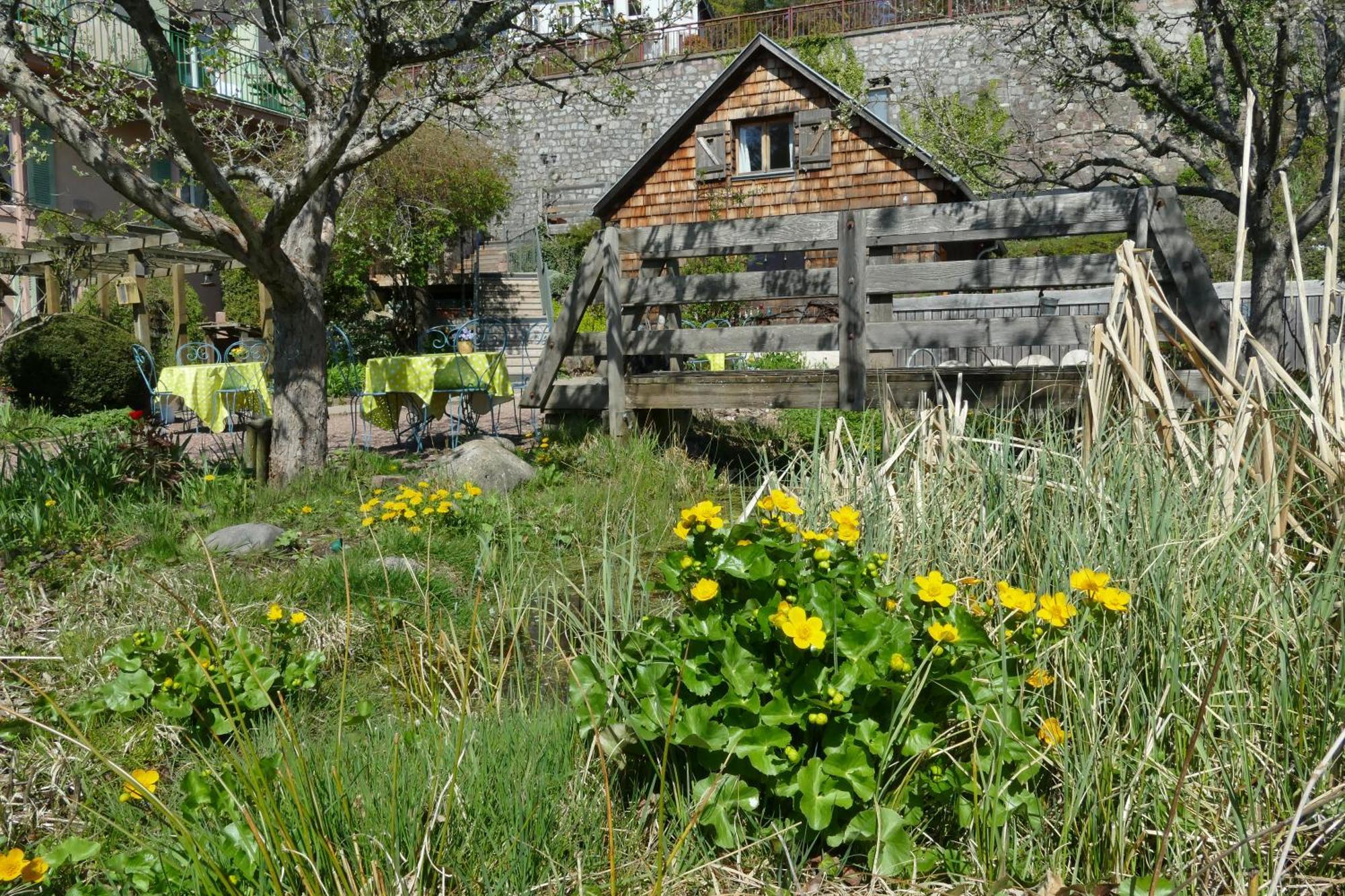 Gasthof Rosa Epis Trois-Épis